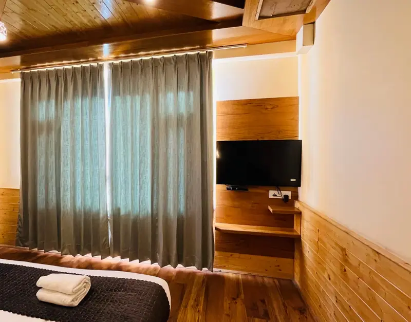 Elite Room With Balcony – photo 4