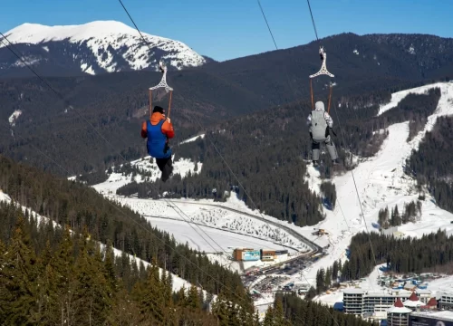 Zipline